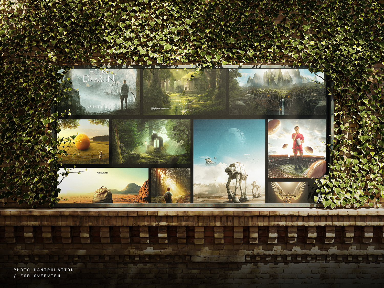portfolio img